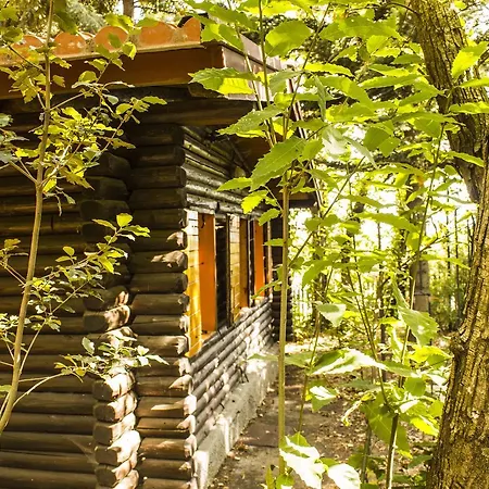 Chalet Sull'etna Viagrande